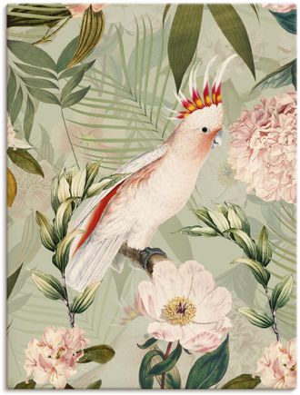 Artland Wandbild »Vintage Papagei« Vogelbilder 1 Stk. tlg. als Alubild, Outdoorbild, Leinwandbild, Poster in verschied. Grössen