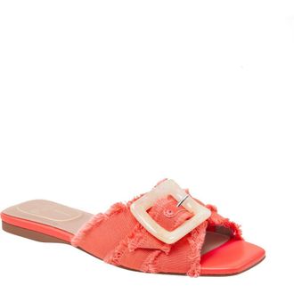 Linea Paolo Lottie Slide Sandal in Pink Coral at Nordstrom Rack, Size 6.5