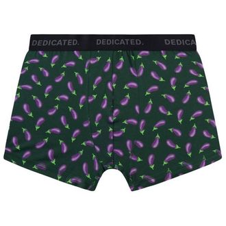Dedicated Boxer Briefs Kalix Egg Plant Alltagsunterwäsche für Herren | grün