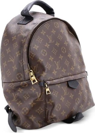 Louis Vuitton Palm Springs Monogram Canvas MM backpack - Bruin
