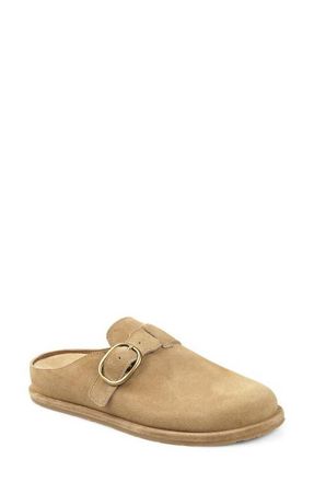 National Comfort Buckle Strap Clog in Natural Suede at Nordstrom, Size 11Us