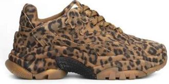 Ash Sneakers, female, Multicolor, 6 UK, Animal Print Lace-Up Sneaker
