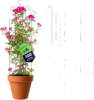 OEM Enrejado De Jard&iacute;n, Acero Con Recubrimiento En Polvo, 58 X 120 Cm, Soporta Diversas Especies De Plantas, Estructura De Soporte Estable, Adecuado Para 