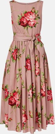 Dolce & Gabbana Floral belted cotton midi dress
