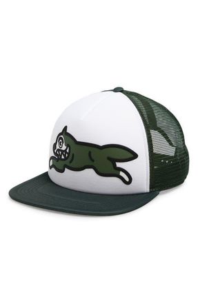 Icecream Running Dog Trucker Hat in Bronze Green at Nordstrom