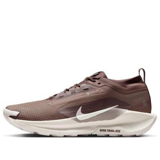 Nike Pegasus Trail 5 Gore-Tex Mink Brown HQ7494-200