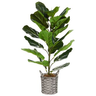 Beliani Beliani - Planta Artificial En Maceta Higuera Hoja De Viol&iacute;n Decoraci&oacute;n Interior De Pl&aacute;stico 72 Cm Fiddle Leaf Tree