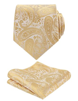 Alizeal Mens Paisley Tie and Hanky Formal Casual Classic Wedding Business Necktie and Pocket Square Set, Champagne