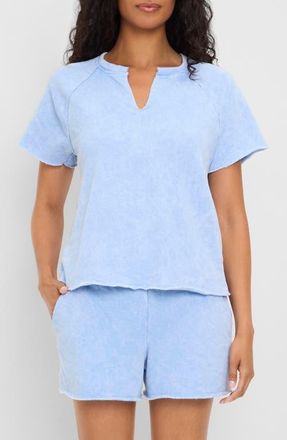 Michael Stars Jessie Notched Neck T-Shirt in Sky at Nordstrom, Size X-Small