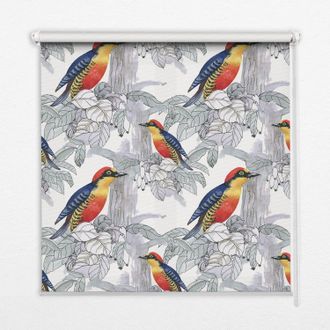 Tulup Tenda A Rullo Interna Per Finestra - Tenda Filtrante Luce - Tenda Privacy - Tenda Decorativa Rettangolare - Rullo Per Interni - (70 Cm X 140 Cm) - Ucc
