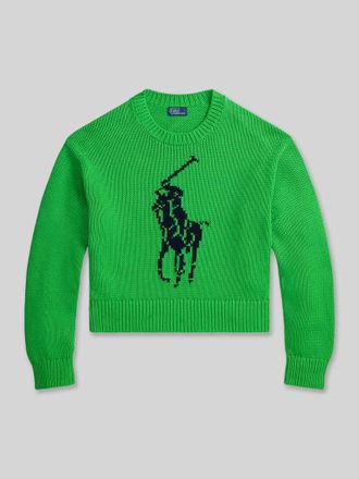 Polo Ralph Lauren Regular Fit Strickpullover aus reiner Baumwolle in Gruen, Gr&ouml;&szlig;e XXL