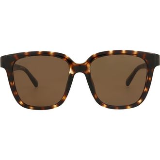 Balenciaga 54mm Square Sunglasses in Havana Havana Brown at Nordstrom Rack