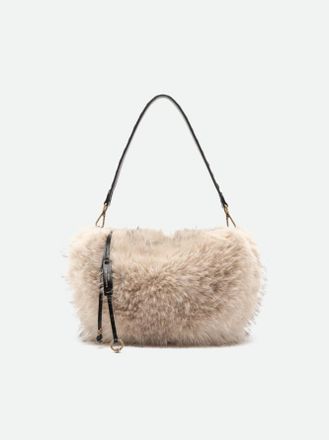 Gianni Chiarini CLEO