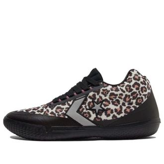 Converse All Star BB EVO Leopard 172180C