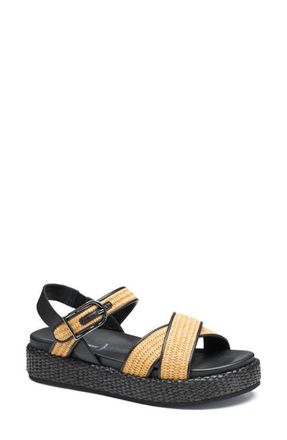 Johnston & Murphy Carli Ankle Strap Platform Sandal in Black Nappa Leather at Nordstrom, Size 9.5