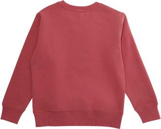 Polo Ralph Lauren Boys Crewneck Sweatshirt Red Cotton Hoods & Sweatshirts
