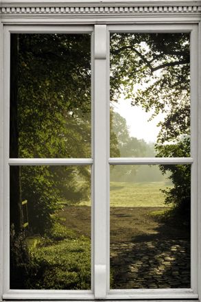 Queence Wandsticker »Wiese« Wandsticker, Wandbild, selbstklebend, 3D, Fenster