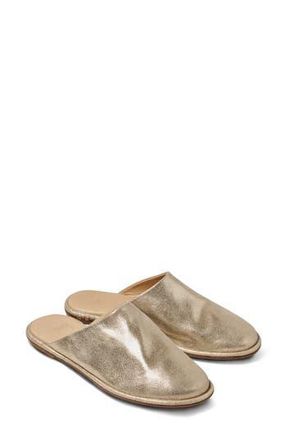 beek Seagull Mule in Gold at Nordstrom Rack, Size 8