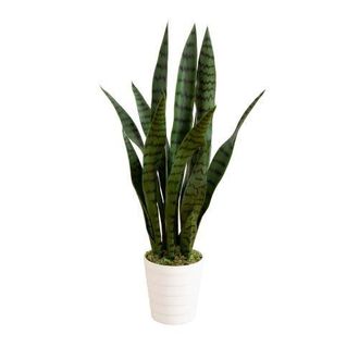 Nearly Natural 2-ft UV Resistant Artificial Sansevieria Snake Plant in White Decorative Planter in Green at Nordstrom