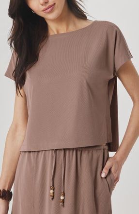 Splendid Sasha Sandwash T-Shirt in Wicker Beige at Nordstrom, Size X-Small