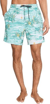 Quiksilver Mix Volley 17 Mens Swimwear Blue Haze : 2XL, Elastane/Polyester