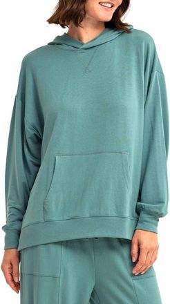 Threads 4 Thought Sylvie Terry Pullover Hoodie in Spearmint at Nordstrom, Size X-Large