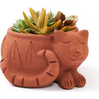 Matr Boomie Rakshana Plant Pot in Cat at Nordstrom