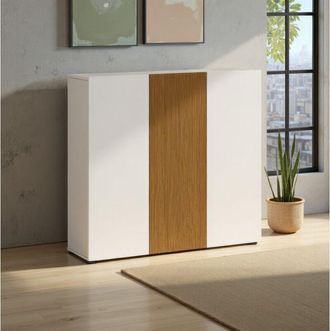 Dmora Zapatero Palasio, Mueble Para 24 Pares, 10 Estantes Hecho En Italia, 3 Puertas, 120x34x115h Cm Blanco Brillante