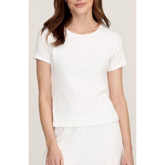Petite Plume Pima Cotton Pointelle T-Shirt in White at Nordstrom, Size X-Small