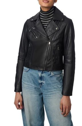 Bernardo Crop Leather Moto Jacket in Black at Nordstrom, Size Medium