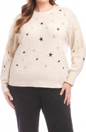 Karen Kane Embroidered Stars Sweater - Plus In Oatmeal