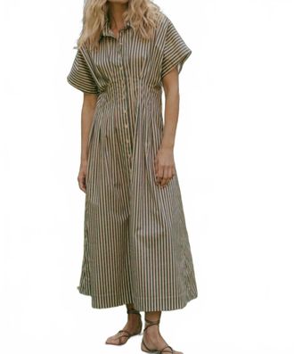 Repeat Stripe A Line Dress In Chestnut
