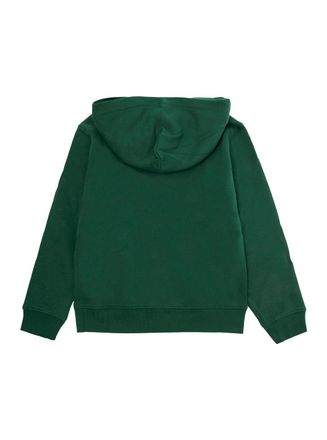 Polo Ralph Lauren Embroidered Logo Cotton Hoodie - Green