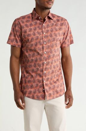 Rodd & Gunn Berkely Short Sleeve Cotton Button-Up Shirt in Terracotta at Nordstrom Rack, Size Xx-Large