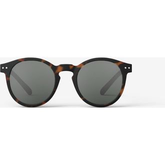 Izipizi M 52mm Pantos Sunglasses in Tortoise at Nordstrom, Size +0.00