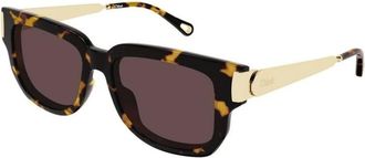 Chlo&eacute; Sunglasses - female - Chlo&eacute; - Sunglasses - Brown - 54 MM - Accessories