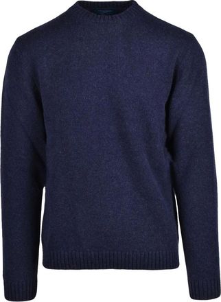 Daniele Fiesoli Truien & Vesten, Heren, Blauw, L, Wol, Maglione Girocollo