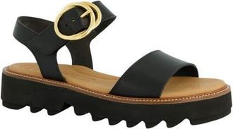Paul Green Darcy Ankle Strap Platform Sandal in Black Leather at Nordstrom, Size 10.5Us
