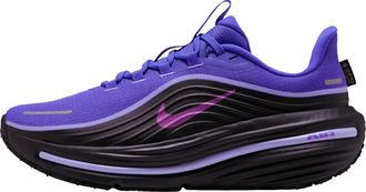 Nike (WMNS) Nike Winflo 12 Gore-Tex Persian Violet IO7960-500