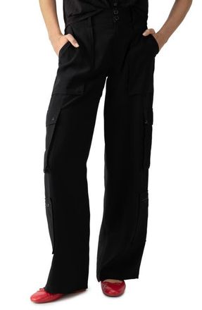 Sanctuary Ott Cargo Pants in Black at Nordstrom, Size 28