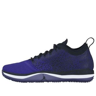 Nike Jordan Trainer 1 Space Jam 845403-003