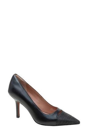 Linea Paolo Prue Pointed Cap Toe Pump in Black at Nordstrom Rack, Size 8