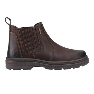 Cotswold Heren Bisley Leren Enkellaarsjes (Bruin)