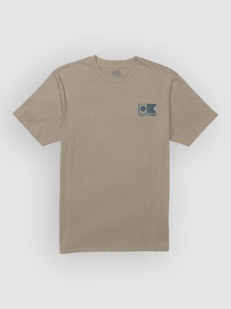 Salty Crew Stitched T-Shirt grau