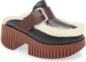 4CCCCees Plia Amber Genuine Shearling Platform Clog in Oreo at Nordstrom Rack, Size 10Us / 41Eu