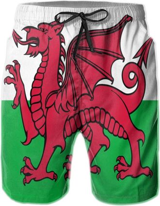 AOOEDM Swim Shorts Mens Welsh Flag Drawstring Casual Summer Beach Shorts Black