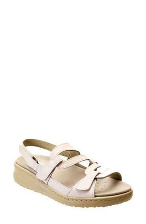 David Tate Femme Wedge Sandal in White at Nordstrom Rack, Size 11