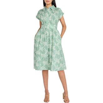 Maggy London Cap Sleeve Stretch Cotton Midi Shirtdress in Sage/Ivory at Nordstrom, Size 14