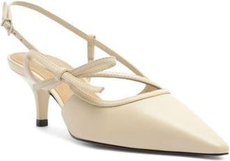 Arezzo Tessa Pointed Toe Slingback Pump in Panacota at Nordstrom, Size 6.5