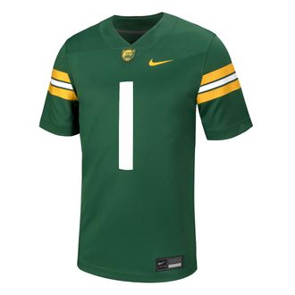 Nike Baylor Nike Mens College Football Replica Jersey in Green | P31811B371-DGR